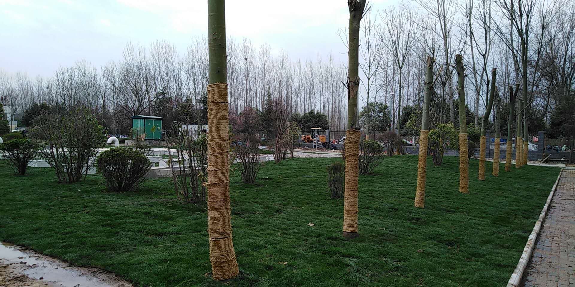 6、平輿縣一高地埋式污水處理2