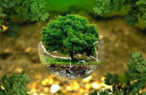 怎樣實施科學的環(huán)保管理？